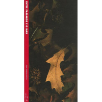 Livros/Acervo/M/MITELO ENTRE